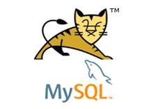 TomcatMySQLStack